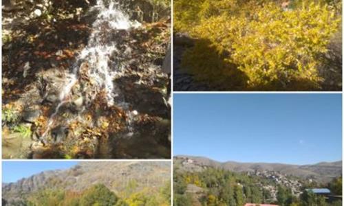 گزارش برنامه خانوادگی منطقه دهبار